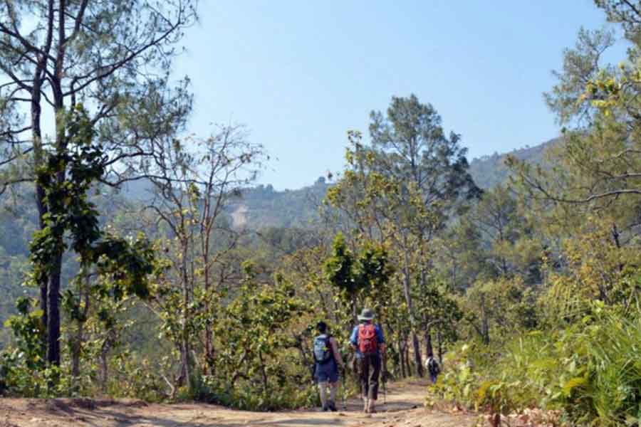 Shivapuri Nagarjun National Park Trek